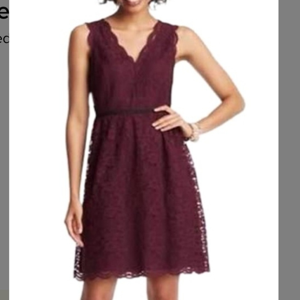 NWOT Ann Taylor Loft scalloped lace v neck dress, - Picture 5 of 7